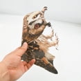 thumbnail image 4 of SamFansar Window Owl Decoy for Bird Strikes Owl Pendant Bird Repellent Owl Pendant Bird Repellent Environmentally Window Owl Decoy for Bird Strikes Reflective, 4 of 8