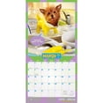 thumbnail image 3 of Avanti Livin' the Dream OFFICIAL | 2026 12x24" (Hanging) Wall Calendar | Plastic-Free, 3 of 9