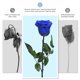 thumbnail image 5 of Flores preservadas Yamonic Rose Gift, 5 tallos, 31 cm, 5 of 8