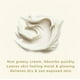 thumbnail image 3 of Crema curativa para quemaduras solares de sebo de ternera batida After Sun Care, 3 of 6
