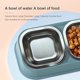 thumbnail image 4 of Cuencos para perros y gatos JAMW cuenco inclinado para comida y agua soporte elevado para cachorros de gatos, 4 of 5