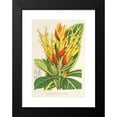 thumbnail image 2 of Charles Antoine Lemaire 17x24 Black Modern Framed Museum Art Print Titled - Sanchezia Noble (1854-1896), 2 of 5