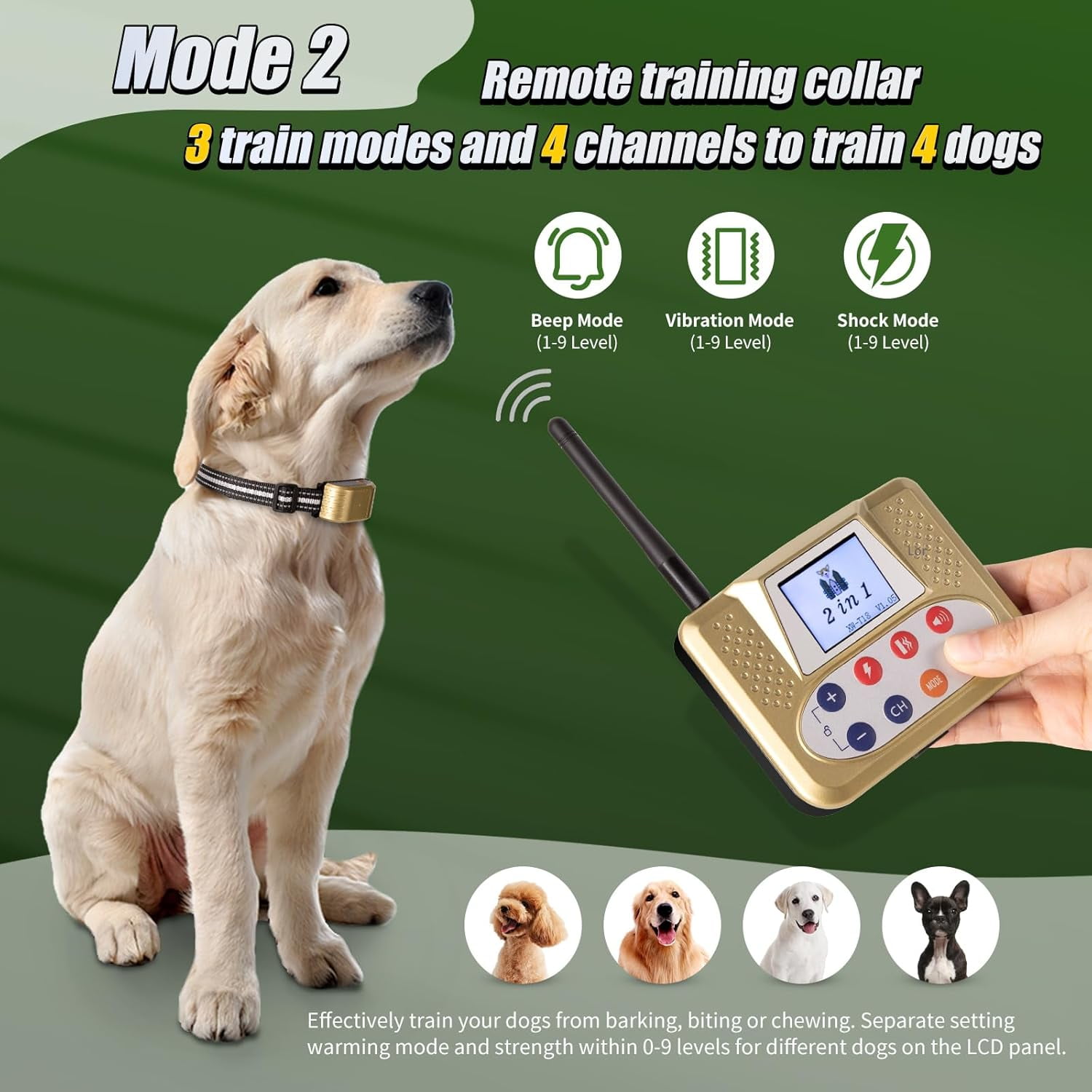 Gold Wireless Dog Fence for 2 Dogs, Electric Fence with BIG LCD Screen, Portable Fence with 2.4G Signal, Remote Training Collar, Dog Containment System, Adjustable for Big Medium Small Dogs