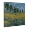 thumbnail image 3 of Stupell Industries French Country Daffodil Field Landscape Canvas Art, 24 x 24, by Graham Reynolds, 3 of 8