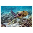 thumbnail image 1 of Turtle Photo Ceramic Tile Mural Kitchen Backsplash Bathroom Shower, 406067-M64, 1 of 3