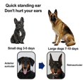 thumbnail image 3 of 2023 New Dog Ear Stand Up Support Tool Sticker, Fixed Correction Erect Holder Patch For Doberman Pinscher Sheltie Corgi Puppies, 3 of 3