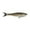 Shad, variant on Berkley PowerBait® Nessie Fishing Bait, Hickory Shad, 7 in, Soft Swimbait