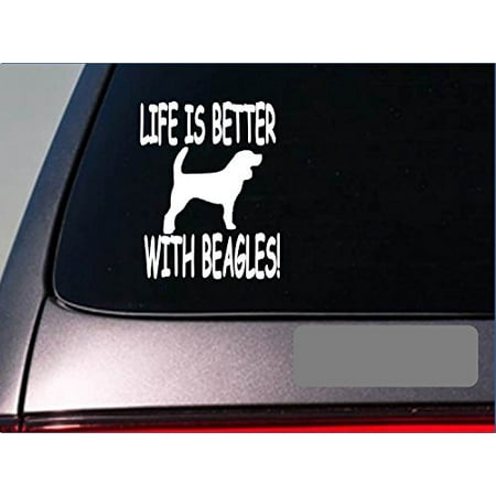 Life is better with beagle *F401* 6