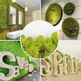 thumbnail image 3 of Kiplyki Artificial Green Plant Immortal Fake Flower Moss Grass For Home Living Room Decorative Wall DIY Flower Mini Colorful Accessories, 3 of 5