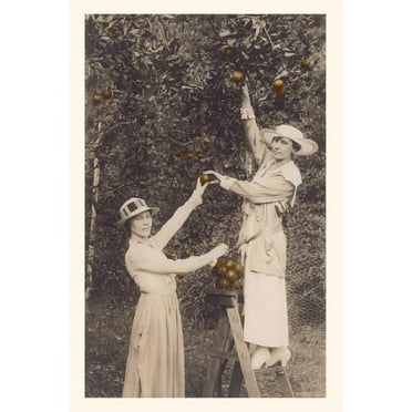Pocket Sized - Found Image Press Journals: Vintage Journal Women Picking Oranges (Paperback)