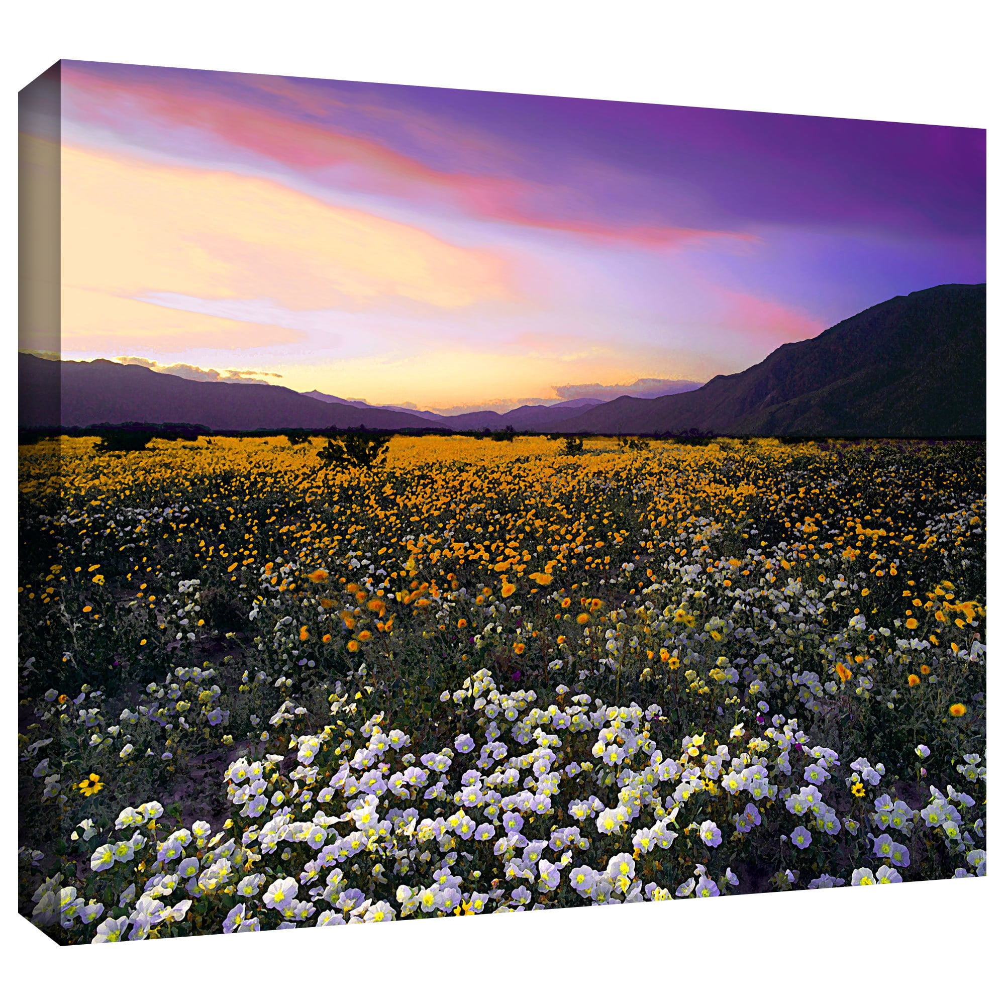 Dean Uhlinger "Adj Borrego Desert Spring" Gallery-Wrapped Canvas