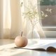 thumbnail image 2 of Paquete de 4 adornos de frutas de cerámica para sala de estar, TV, muebles, decoración del hogar, escritorio, acentos decorativos de 4,72 pulgadas Yulucky, 2 of 8