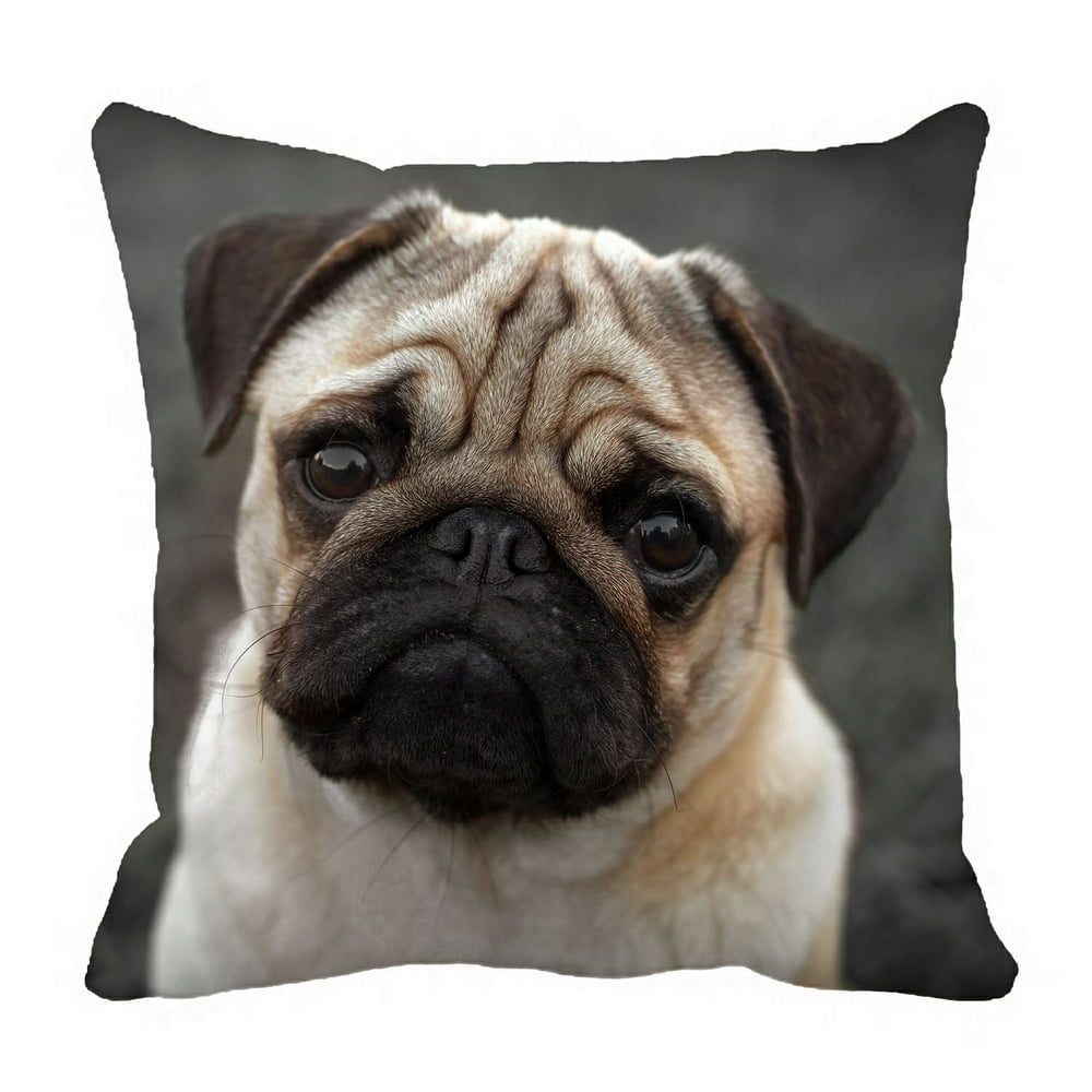 PHFZK Animal Pillow Case, Portrait of Beautiful Pug Puppy Pillowcase