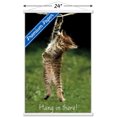 thumbnail image 3 of Célèbre chaton accroché là-bas Poster, 3 of 5