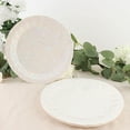 thumbnail image 7 of BalsaCircle 25 Iridescent Geometric Round 9" Metallic Disposable Dinner Paper Plates Tableware, 7 of 7