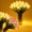 White, variant on Radiant Romantic Tulip Light, Twinkling LED Tulips That Never Fade, Artificial Flower Ambient Night Lamp for Bedroom Bedside Home Wedding Gift