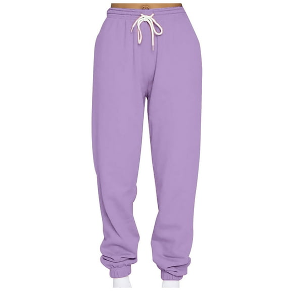 FRSASU Women Pants Loose Sports Sweatpants Ankle Banded Trousers Gradient Fleece Pants Purple 10(XL)