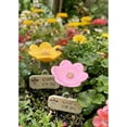 thumbnail image 6 of 3 Set bee Watering Station Insect Drinking Cups for Garden Flower-Shaped Bee Water Station Butterflies bee Waterer (Blue Pink Yellow 3 Set), 6 of 7