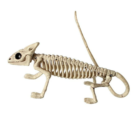 Animal Skeleton Model Bat/frog/lizard Bones Halloween Party Decoration |  Walmart Canada