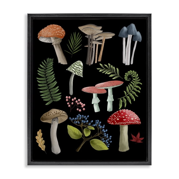 Stupell Industries Bohemian Woodland Botanicals on Black Black Floating Frame Canvas Art, 17 x 21, by Regina Moore