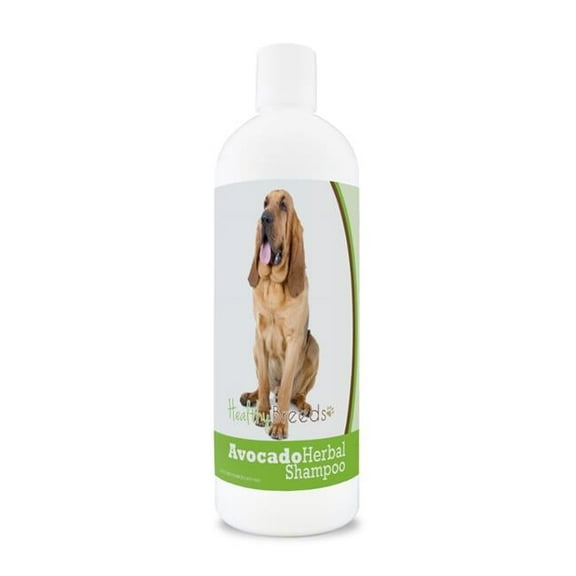 Healthy Breeds 840235156802 Bloodhound Avocado Herbal Dog Shampoo