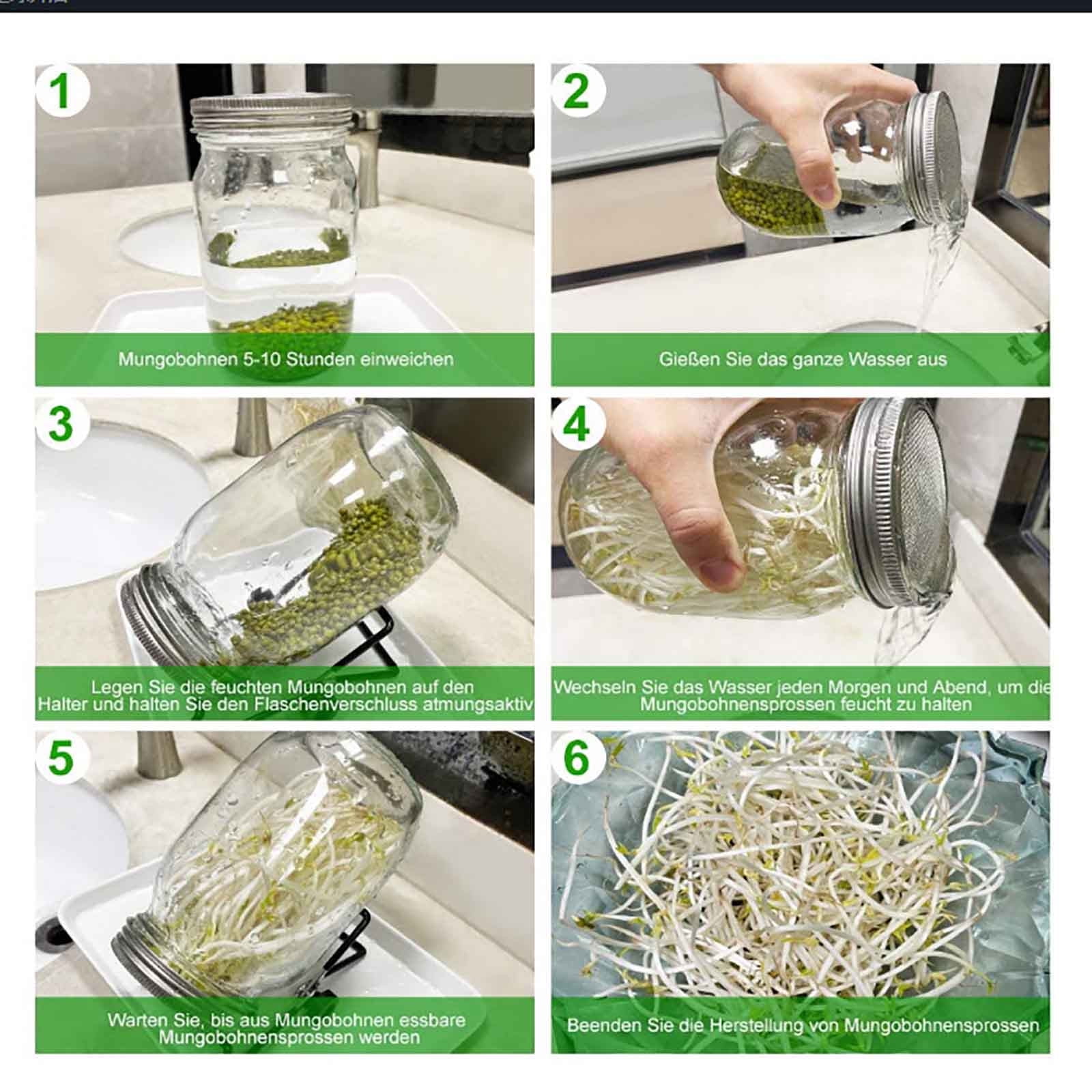 syligr Complete Sprouting Kit with 2 Glass Jars Stainless Steel Lids, Wide Mouth Seed Sprouter for Broccoli Alfalfa Beans, Food Grade Germination Tray Stand, Easy Home Sprout Grower for Beginners