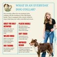 thumbnail image 5 of Country Brook Petz® Everyday Ice Blue Nylon Dog Collar, Extra Large, 5 of 6