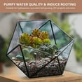 thumbnail image 6 of 20lb Mix Horticultural Lava Rocks for Plants, 3/8" Colorful Succulent Potting Soil Amendments, Decorative Gravel for Cactus, Bonsai Gritty Rock, Pebbles Pumice for Vase Fillers, Top Dressing, 6 of 9