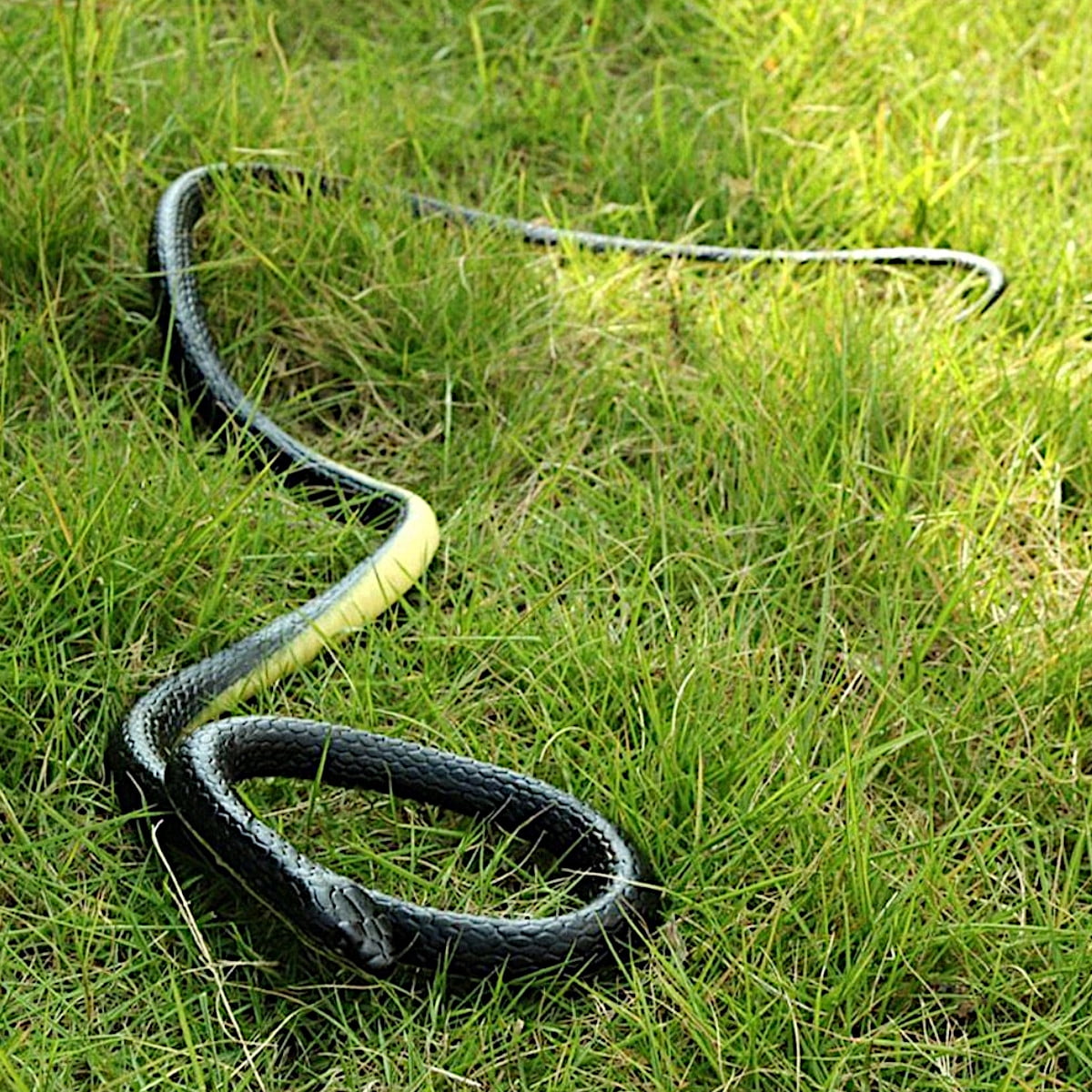 rubber rattlesnake toy