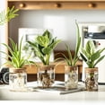 thumbnail image 3 of Set de 8 Floreros de Propagación de Plantas en Vidrio de Borosilicato, 3 of 9
