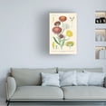thumbnail image 3 of Wild Apple Portfolio 'Antique Botanical XL Light' Canvas Art, 3 of 3
