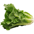 Fresh Romaine Lettuce, Each
