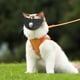 thumbnail image 4 of Belleza Para Gatos 2025 Nueva Cubierta Para La Boca Del Gato Malla Transpirable Para Gatos Herramientas De Belleza Reutilizables Para Gatos, 4 of 4