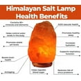Serenity Gifts Himalayan Pink Rock Salt Lamp Natural Healing Ionizing