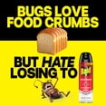 thumbnail image 6 of Raid Ant & Roach Killer, Indoor Insecticide, Residual Killing Power, Fragrance Free, 17.5 oz, 2 Count, 6 of 15