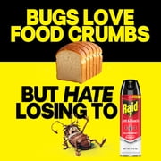 Raid Ant & Roach Insect Killer, Fragrance Free Bug Spray, Insect Spray, 17.5 oz.