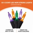 thumbnail image 3 of Indoor/Outdoor 50-Count LED Mini String Lights, Multicolor, 9.5', Halloween by Way To Celebrate, 3 of 7