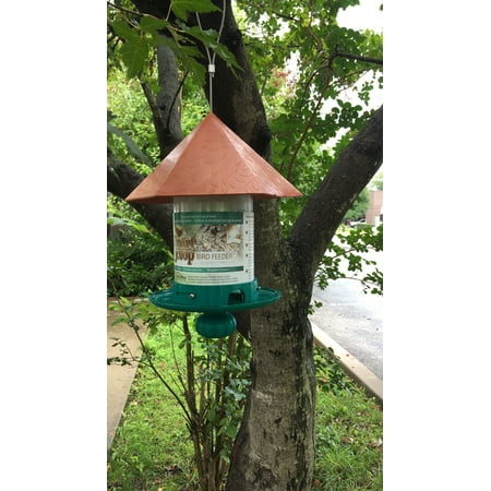 Heath Outdoor Products Smart Scoop Wild Bird Feeder 2 Lb Capacity