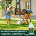 thumbnail image 6 of Medina Hasta Gro Lawn Food Fertilizer 12-4-8, 1 gal., 6 of 7