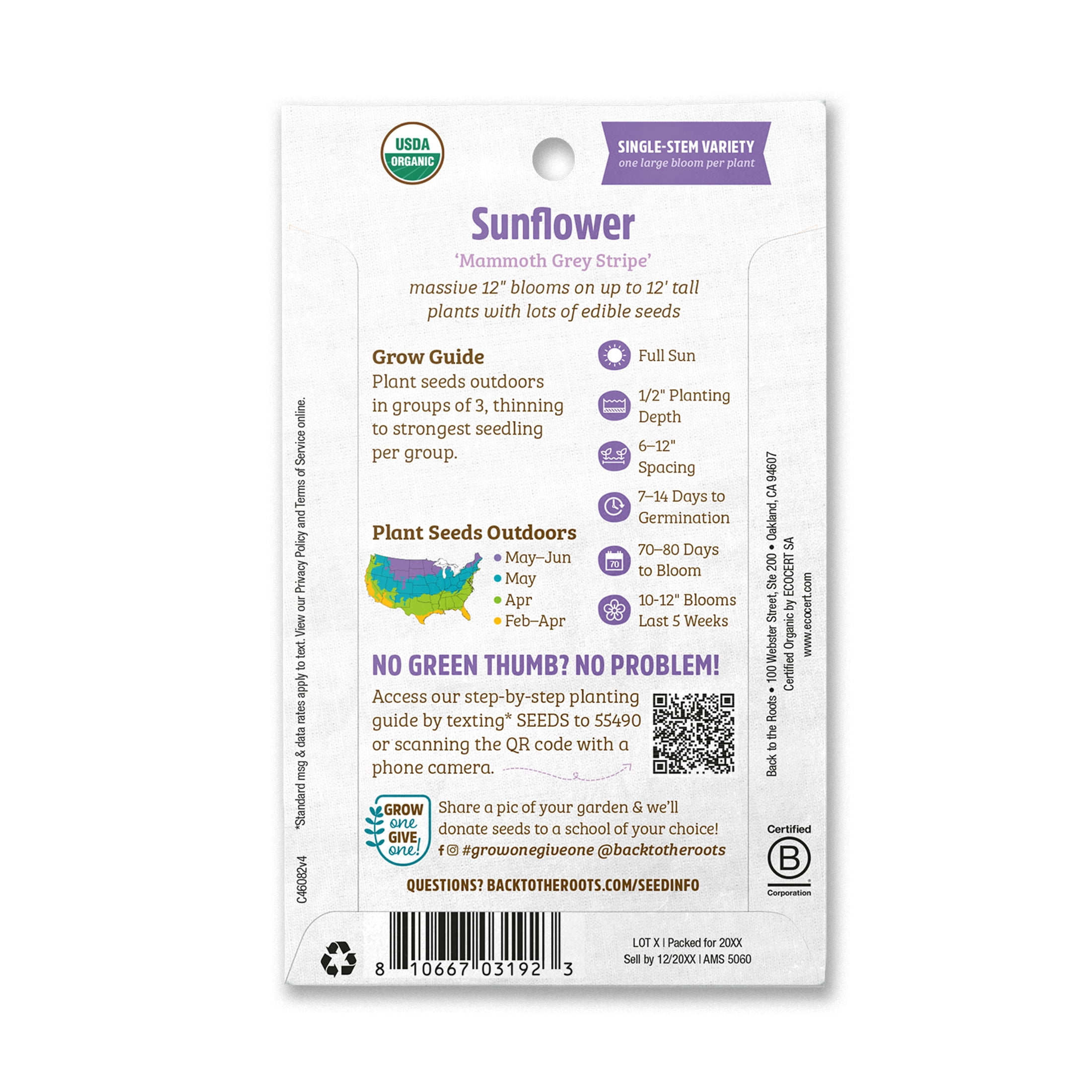 Back to the Roots Sunflower Seeds - Thumbnail 5