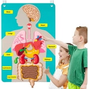 Teaching Body Parts Felt Board Stories Suitable for Young Children, Art Crafts Toys Children Sensory Activities Teachers Day Care Supplies