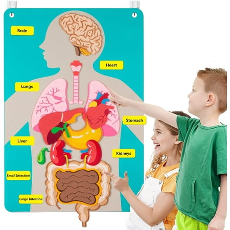 Teaching Body Parts Felt Board Stories Suitable for Young Children, Art Crafts Toys Children Sensory Activities Teachers Day Care Supplies