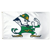 WinCraft Notre Dame Fighting Irish 3' x 5' Single-Sided Vibrant Deluxe Flag