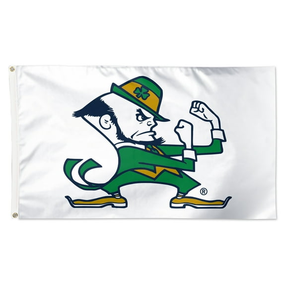WinCraft Notre Dame Fighting Irish 3' x 5' Single-Sided Vibrant Deluxe Flag
