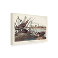 thumbnail image 2 of John James Audubon ' Snipe' Canvas Art, 2 of 3