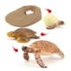 thumbnail image 2 of de de simución modelo Animal tortuga Animal de accesorios de enseñanza juguete educativo - Tortuga 2423 2423 Hugo Juego de crecimiento de insectos para niños, 2 of 9