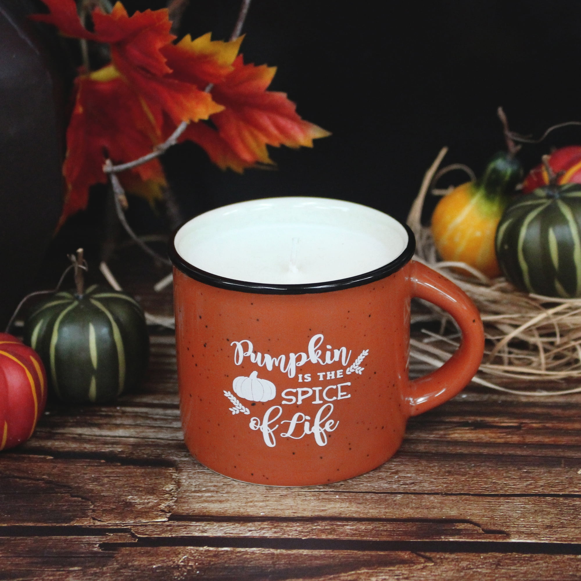 4.5oz Mulled Cider Fragranced Candle