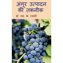 Angoor Utpadan Ki Takneek / अंगूर उत्पादन की तकनीक (Paperback)