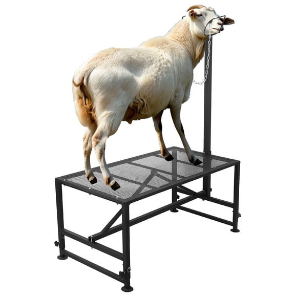 Goat Milking Stand,47x23 inch Metal Sturdy Sheep Stand, Adjustable Height 20" to 34", with Headpiece and Nose Loop, 500lbs Capacity, Ideal for Goats and Lambs, Black