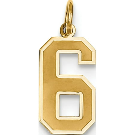 - Leslies Fine Jewelry Designer 14k Yellow Gold Medium Satin Number 6 (8x20mm) Pendant Gift Box Included